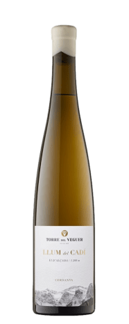 Llum del cadi blanc 2022