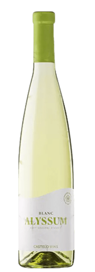 Alyssum Blanc 2024