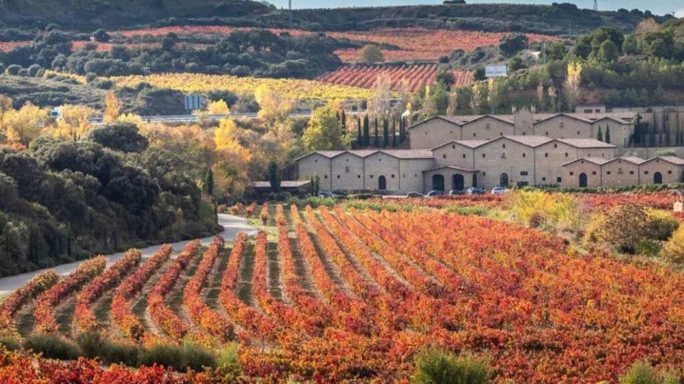 bodegas marques de murrieta