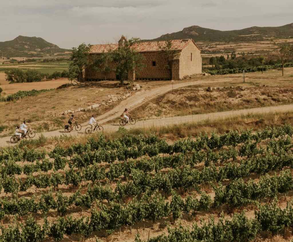 bodegas muga