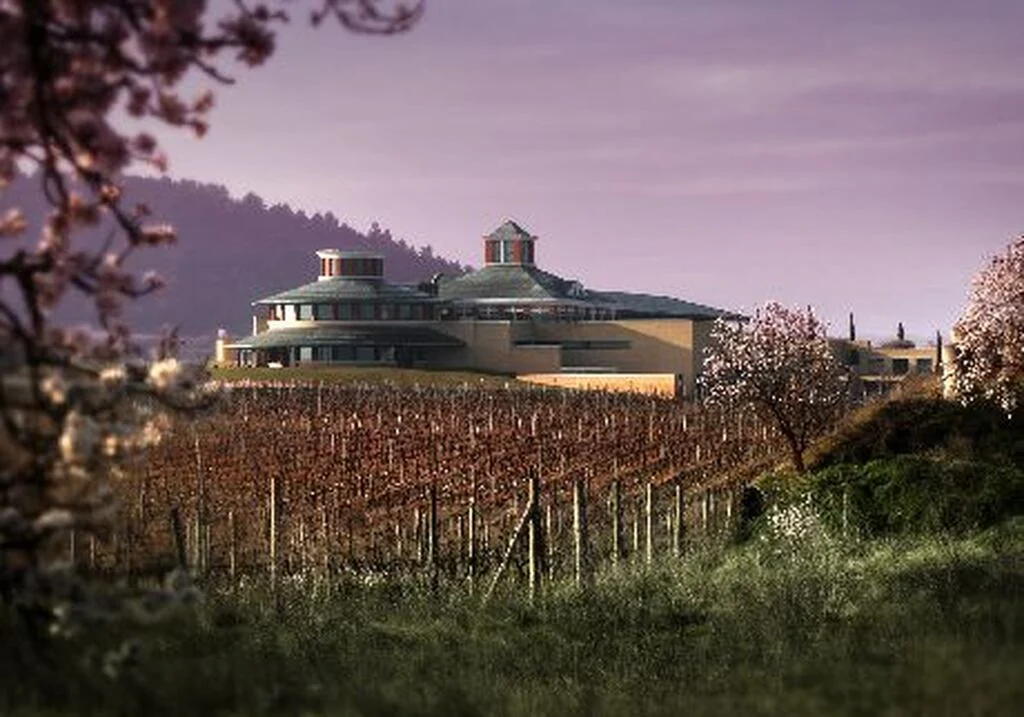 bodegas vivanco