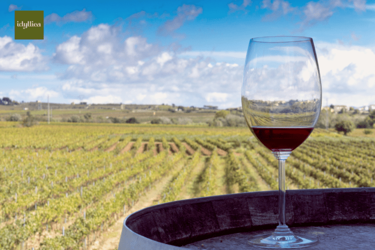vinos con denominación de origen