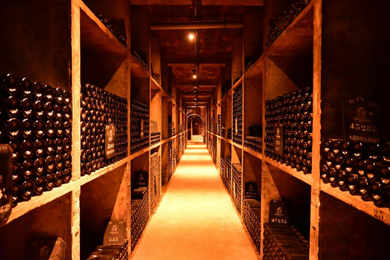 Ampolles de vi en un celler durant la criança